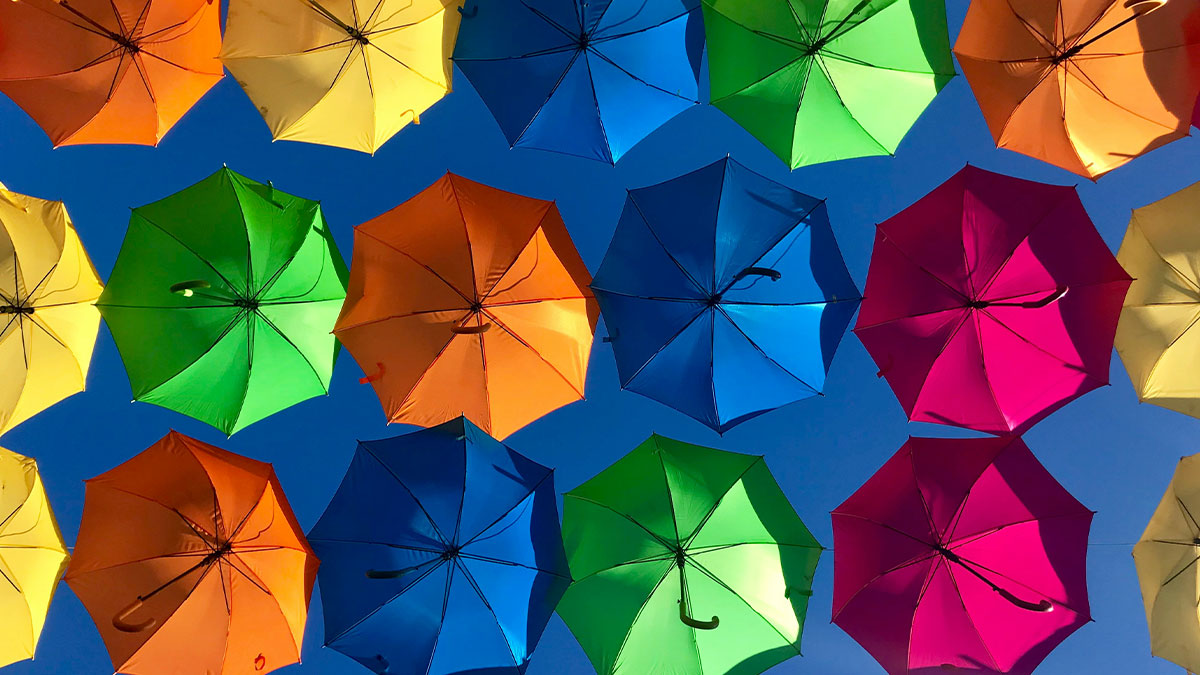Color Palette Generator: Create Harmonious Color Schemes for Your Projects